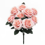 Deluxe queen rose bush