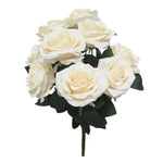 Deluxe queen rose bush